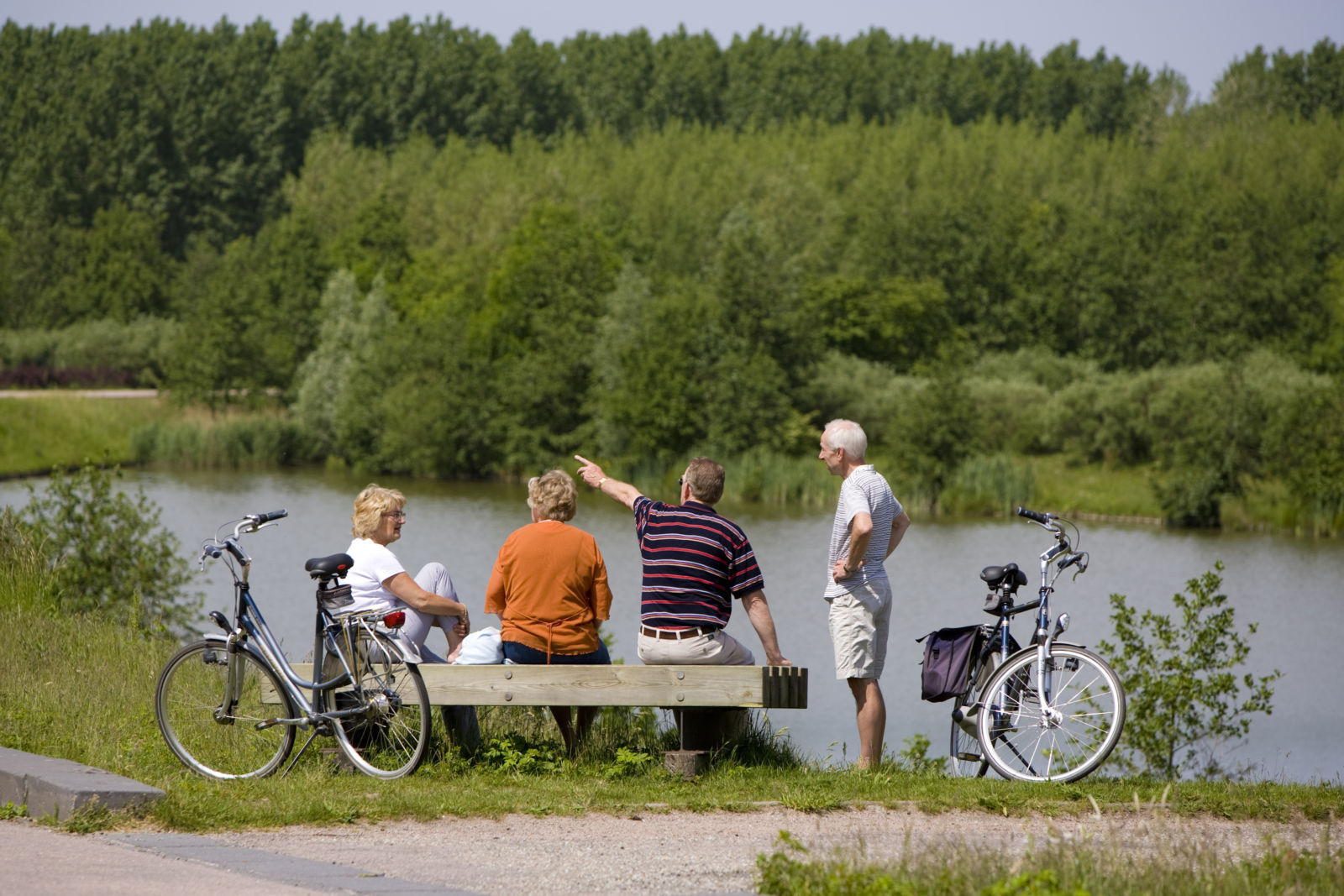 foto Haarlemmermeerse Bos - foto hollandcom